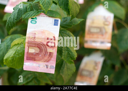 Comment l'argent pousse ? Simpel : plantez un arbre d'argent dans votre jardin. Ok, votre investissement de l'euro est une meilleure idée. Cet arbre d'argent symbolise vos investissements. Banque D'Images