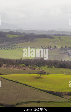 Champs verts sur un paysage typique de la Toscane Banque D'Images