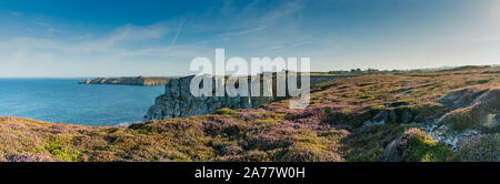 Avis de lilas heath meadows et falaises déchiquetées sur la côte sauvage de Bretagne Banque D'Images