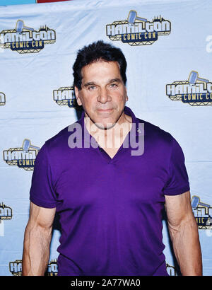 Octobre 19, 2019, Hamilton, Ontario, USA : 19 octobre 2019 - Hamilton, Ontario, Canada. L'acteur Lou Ferrigno (mieux connu pour son rôle du personnage de ''l'Incroyable Hulk'') à Hamilton à Comic Con au Canadian Warplane Heritage Museum. Crédit photo : Brant/Perniac AdMedia (crédit Image : © Perniac Brant/AdMedia via Zuma sur le fil) Banque D'Images