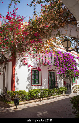 Maison dans le sud avec des fleurs de bougainvilliers Banque D'Images