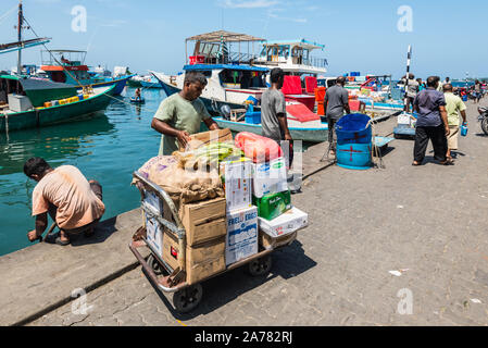 Male, Maldives - Le 18 novembre 2017 : un homme avec un panier plein de nourriture au repas de poisson frais et de légumes dans les marchés, aux Maldives. Banque D'Images