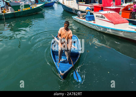 Male, Maldives - Le 18 novembre 2017 : un pêcheur sur une barque avec un énorme poisson thon fraîchement pêché la prestation du navire pour le marché dans la capitale Banque D'Images
