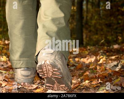 Forêt d'automne, saison d'automne. Femme jambes dans des chaussures ou bottes en cuir marche sur les feuilles tombées des arbres de chêne hêtre nad. Banque D'Images