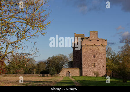 La tour principale restaurée du château près de Brechin Melgund dans Angus, avec ses parapets, petites fenêtres situé dans le grès rouge des murs. Banque D'Images