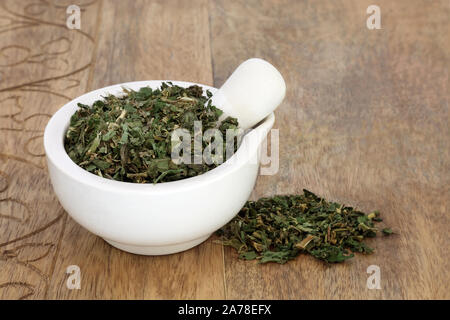 Pellitory du mur feuille d'herbe dans un mortier avec pilon Utilisé en phytothérapie pour soigner les infections urinaires, douleur rénale et pierres. Banque D'Images