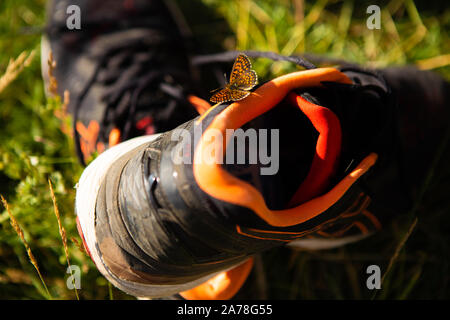 Little butterfly sitting sur noir et orange d'exécution sneakers Banque D'Images