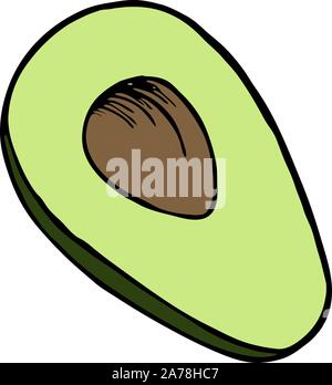 Illustration Handdrawn avec avocat, vector illustration Illustration de Vecteur