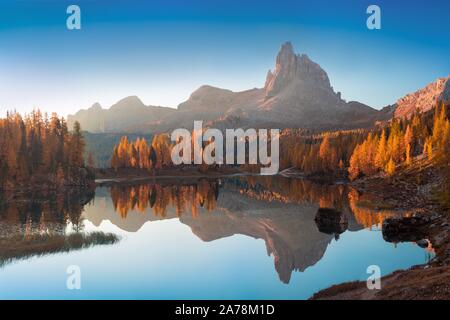 Vue d'automne sur le lac Federa dans les Dolomites au coucher du soleil. Fantastique scène d'automne avec ciel bleu, majestueux mont rocheux et arbres colorés lumière du soleil dedans Banque D'Images