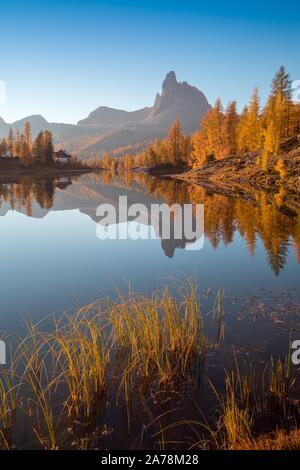 Vue d'automne sur le lac Federa dans les Dolomites au coucher du soleil. Fantastique scène d'automne avec ciel bleu, majestueux mont rocheux et arbres colorés lumière du soleil dedans Banque D'Images