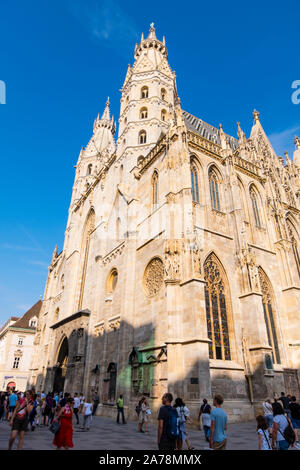 Stephansdom, Domkirche St Stephan, la cathédrale St Stephens, Stephansplatz, vieille ville, Vienne, Autriche Banque D'Images