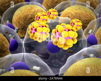 Domaine des cellules graisseuses, de haute qualité de rendu 3D de cellules adipeuses, le cholestérol dans les cellules d'un champ, de cellules Banque D'Images