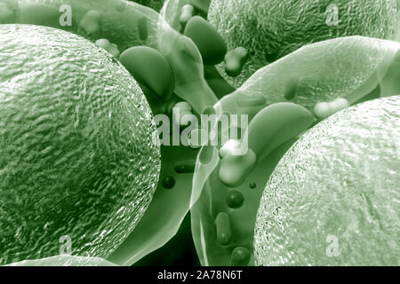 Les cellules de graisse, de haute qualité de rendu 3D de cellules adipeuses, le cholestérol dans les cellules d'un Banque D'Images