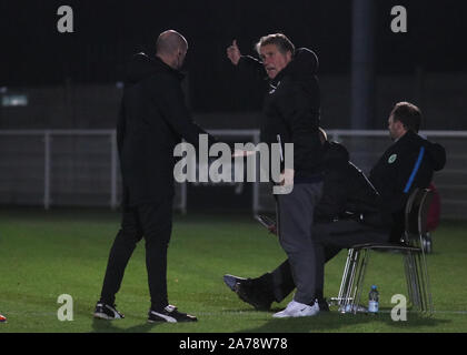 DAGENHAM, en Angleterre. 30 OCTOBRE : Tom Lokhoff à l'entraîneur de Wolfsburg II se plaindre au 4ème fonctionnaire au cours de Premier League International Cup mat Banque D'Images