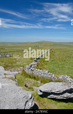 L'Hessory Tor à Dartmoor, dans le devon Banque D'Images