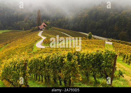 Paysage d'automne de la célèbre forme de coeur autrichien et slovène de la route du vin au milieu des vignes, près de Maribor en Slovénie Banque D'Images