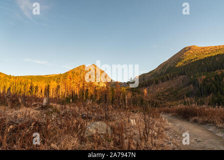 Partie inférieure de la vallée Mlynicka dolina en automne Vysoke Tatry montagnes en Slovaquie avec des pics, Forest Glade, sentier pédestre et clear sky Banque D'Images