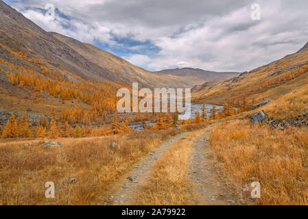 Paysage d'automne avec une incroyable saleté Rocky Road dans les montagnes le long d'une rivière sinueuse et les mélèzes d'or contre un ciel bleu avec des nuages. Atay, Ru Banque D'Images