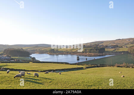 Bronte Country, Haworth Moor, Haworth Cemetery, Yorkshire Banque D'Images