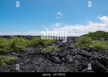 Champ de lave pahoehoe sur Hawai'i Banque D'Images