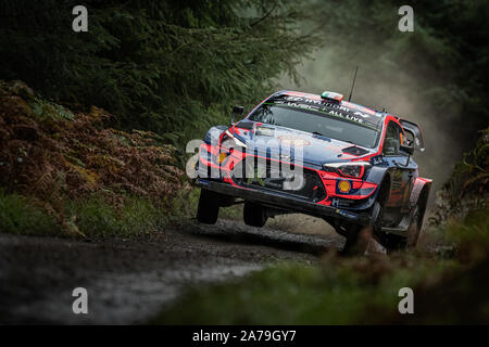 Craig Breen roulant dans les forêts de la Hyundai i20 Hyundai Mobis Shell pour le World Rally Team dans le Wales Rally GB 2019 au Pays de Galles, Royaume-Uni Banque D'Images