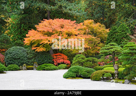 Les érables et autres arbres feuillus exotiques jaune et rouge dans le célèbre jardin japonais de Portland, Oregon, en automne. Banque D'Images