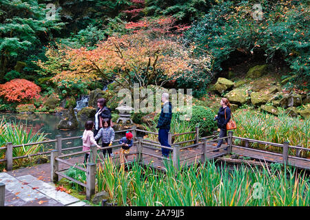 Les érables et autres arbres feuillus exotiques jaune et rouge dans le célèbre jardin japonais de Portland, Oregon, en automne. Banque D'Images