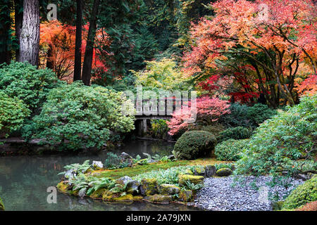 Les érables et autres arbres feuillus exotiques jaune et rouge dans le célèbre jardin japonais de Portland, Oregon, en automne. Banque D'Images
