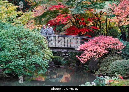 Les érables et autres arbres feuillus exotiques jaune et rouge dans le célèbre jardin japonais de Portland, Oregon, en automne. Banque D'Images