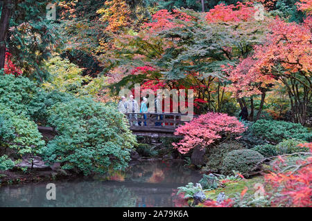 Les érables et autres arbres feuillus exotiques jaune et rouge dans le célèbre jardin japonais de Portland, Oregon, en automne. Banque D'Images