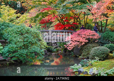 Les érables et autres arbres feuillus exotiques jaune et rouge dans le célèbre jardin japonais de Portland, Oregon, en automne. Banque D'Images
