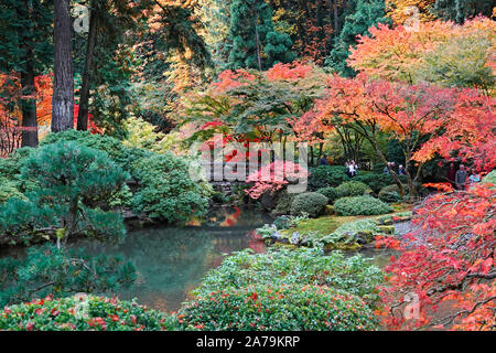 Les érables et autres arbres feuillus exotiques jaune et rouge dans le célèbre jardin japonais de Portland, Oregon, en automne. Banque D'Images