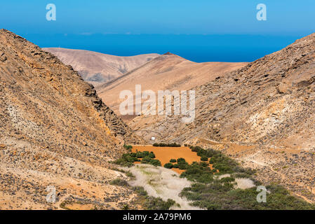 Le parc rural de Betancuria Dans l'île espagnole de Fuerteventura, dans les îles Canaries Banque D'Images