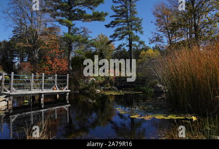 Boothbay, ME / USA - 19 octobre 2019 : petit étang au milieu du Jardins botaniques de la côte du Maine Banque D'Images