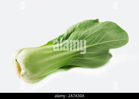 Salade de pak choi sur fond blanc Banque D'Images