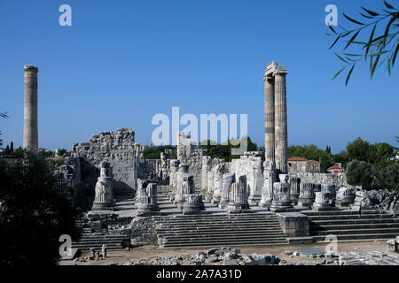 Dans les temps anciens, Didyma était célèbre comme le lieu où un colossal temple d'Apollon se leva, et l'oracle a révélé l'avenir. Banque D'Images