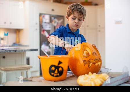 Un garçon de 6 ans qui a racé la croûte à l'intérieur d'une citrouille sculptée avant Halloween, Angleterre, Royaume-Uni Banque D'Images