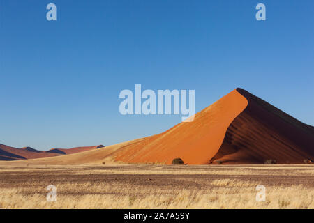 Dunes de sable dans le Namib-Naukluft National Park près de Sossusvlei dans le désert du Namib, Namibie. La région a un des taux de dunes de sable dans le monde. Banque D'Images