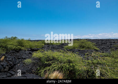 Champ de lave pahoehoe sur Hawai'i Banque D'Images