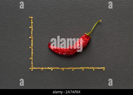 Seul le poivre de bananes séchées rouge sur fond gris avec lignes graphique avec graines de poivre Banque D'Images