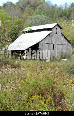 Vieille Grange traditionnelle au milieu des mauvaises herbes et de fleurs sauvages dans les campagnes de terrain en Virginie, USA Banque D'Images