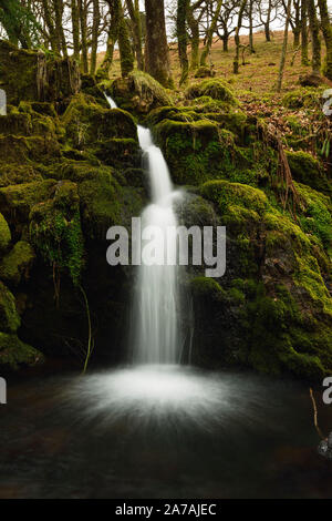 Hidden Falls, Dart Valley Nature Reserve, Dartmoor, Devon Banque D'Images