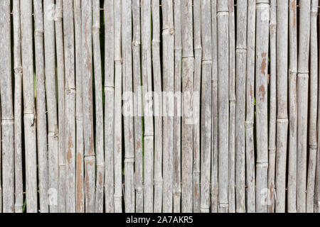 Gray incense screensaver Banque D'Images