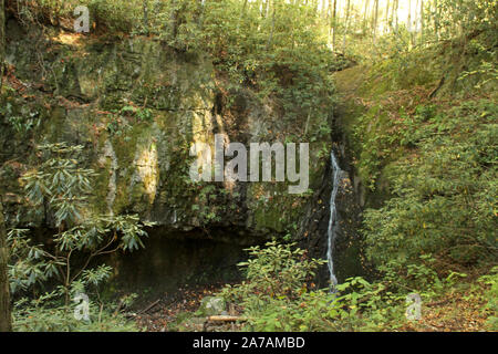 L'armature tombe dans la forêt nationale de Cherokee en Arizona, USA Banque D'Images