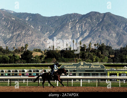 Arcadia, États-Unis. 31 octobre, 2019. Un cheval marche le matin, avec les montagnes San Gabriel dans l'arrière-plan quelques jours avant la 36e Breeders Cup Championnat du Monde Santa Anita Race Track en Arcadia, Californie le 31 octobre 2019. Photo par Mark Abraham/UPI UPI : Crédit/Alamy Live News Banque D'Images