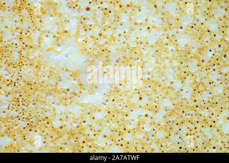 Crêpe mince haut voir la texture. Crêpes maison huilés avec du beurre. Maison de vacances de carnaval des plats traditionnels. Banque D'Images