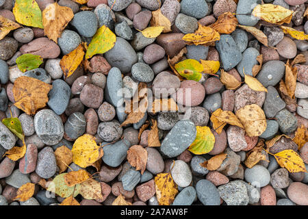 Pierres, roches, agates, rive du lac Supérieur, Automne, MN, USA, par Dominique Braud/Dembinsky Assoc Photo Banque D'Images