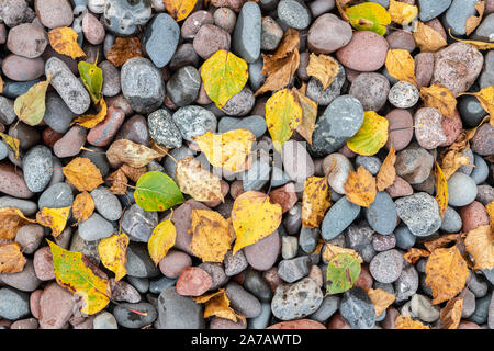 Pierres, roches, agates, rive du lac Supérieur, Automne, MN, USA, par Dominique Braud/Dembinsky Assoc Photo Banque D'Images