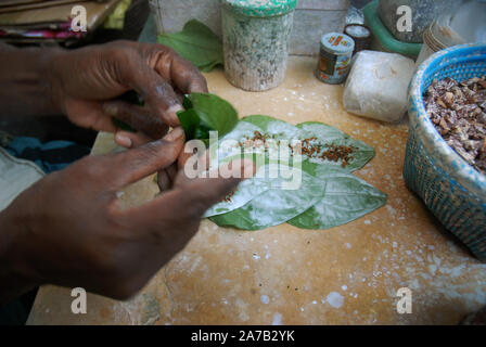 Man making bétel sur l'étal à Yangon, Myanmar, en Asie. Banque D'Images