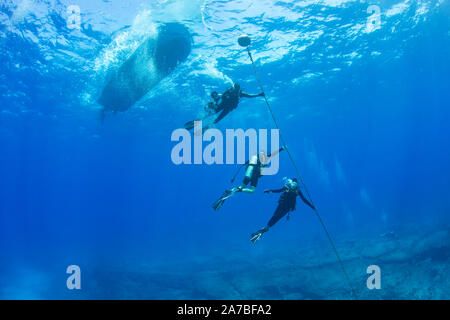 Divers (MR) s'alignent sur une ligne de mouillage de libérer les gaz avant de surfaçage, côte de Kona, Hawaï. Banque D'Images